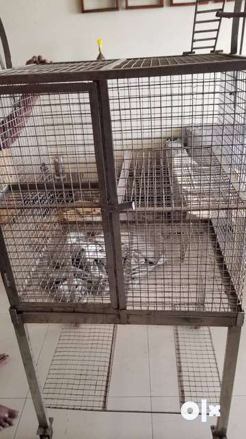 Stainless dog cage olx hotsell
