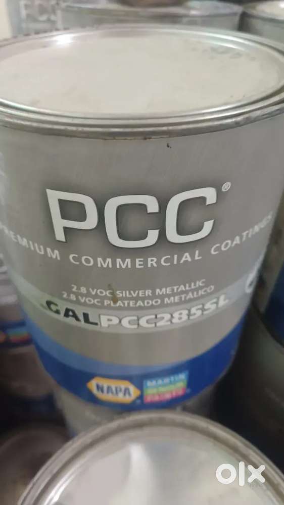 Decorative and automotive paint