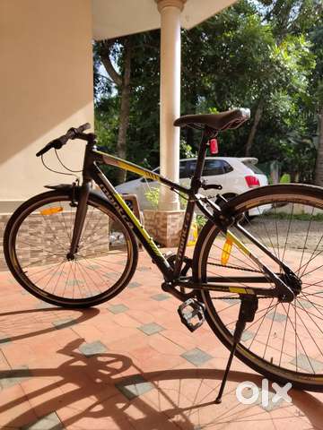 Montra timba single speed new arrivals
