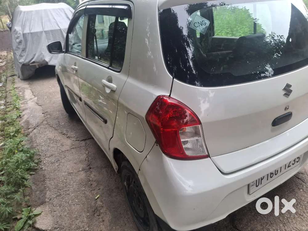 Maruti Suzuki Celerio 2019 Cng & Hybrids