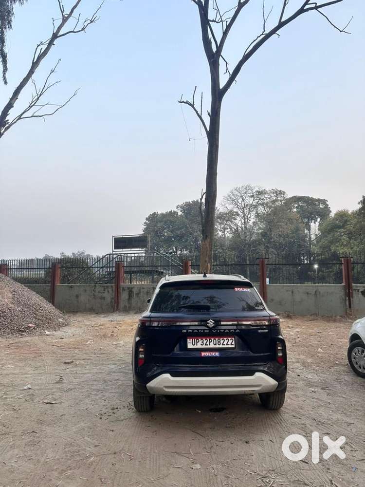 Maruti Suzuki Grand Vitara 2024 Petrol Well Maintained