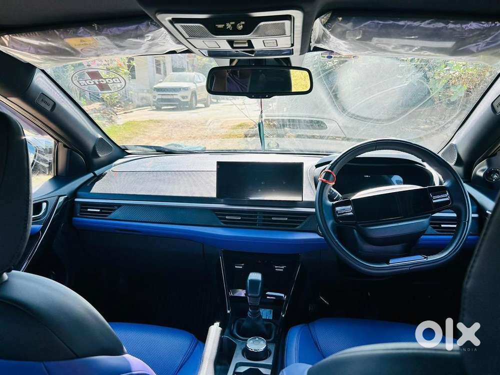 Tata Nexon 2024 Petrol Well Maintained