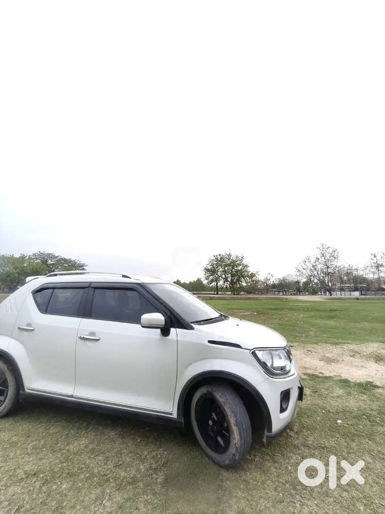 Maruti Suzuki Ignis 2023 Petrol 2600 Km Driven