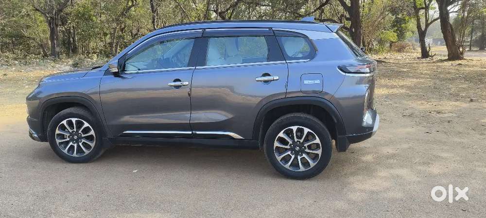 Maruti Suzuki Grand Vitara Alfa Top Model 8/2023