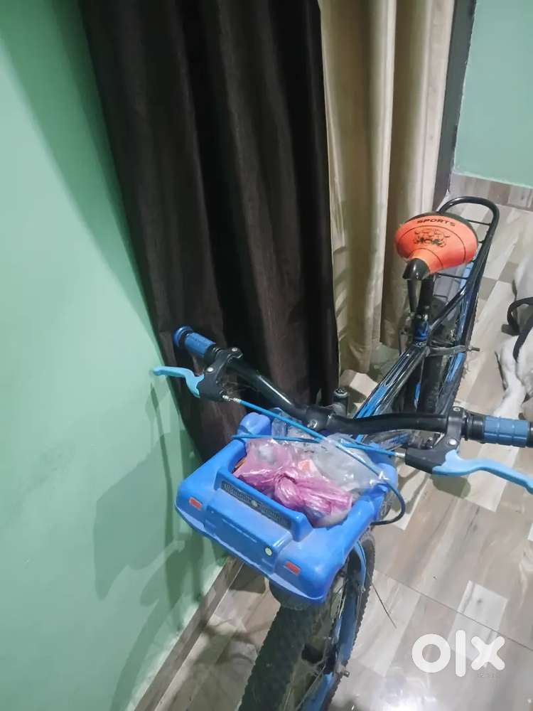 Horse Cycle