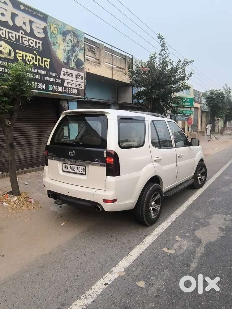 Selly My Safari Storme