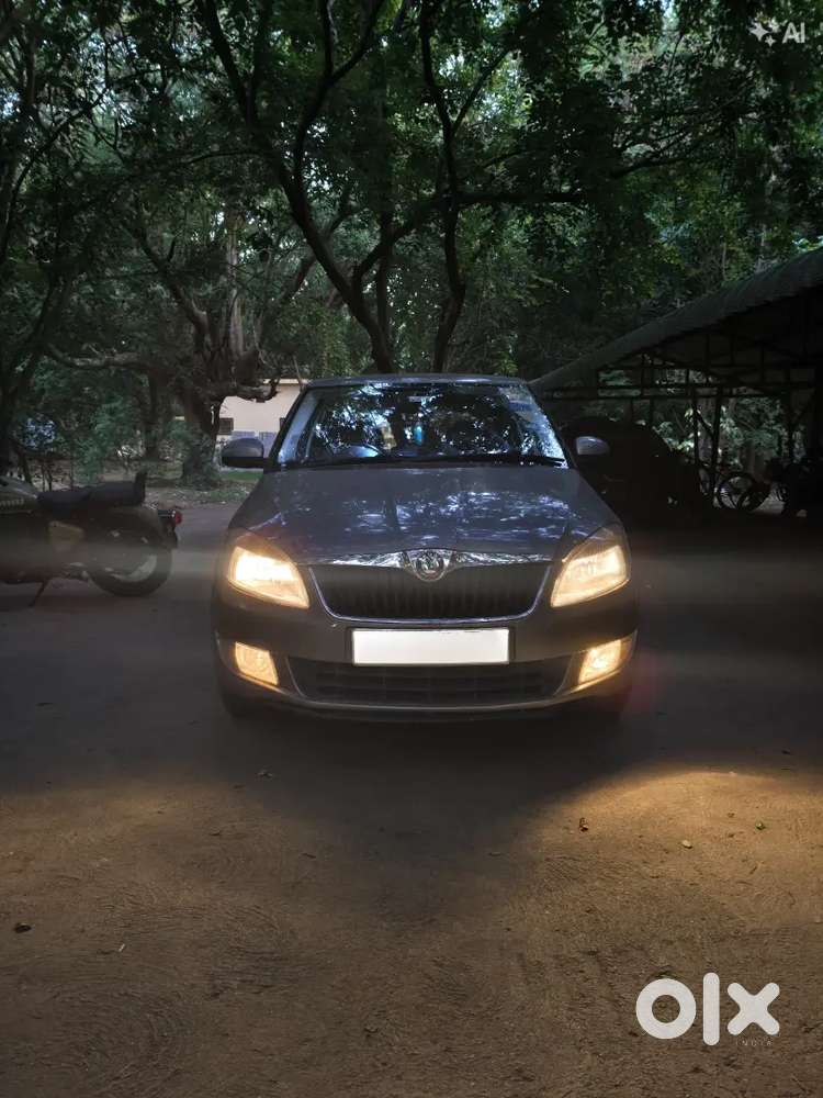 Skoda Fabia Active 2012