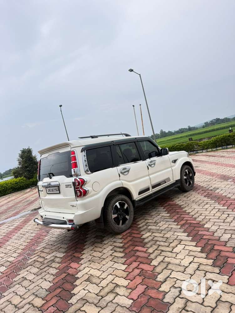 Boss Edition 2023 Classic S11