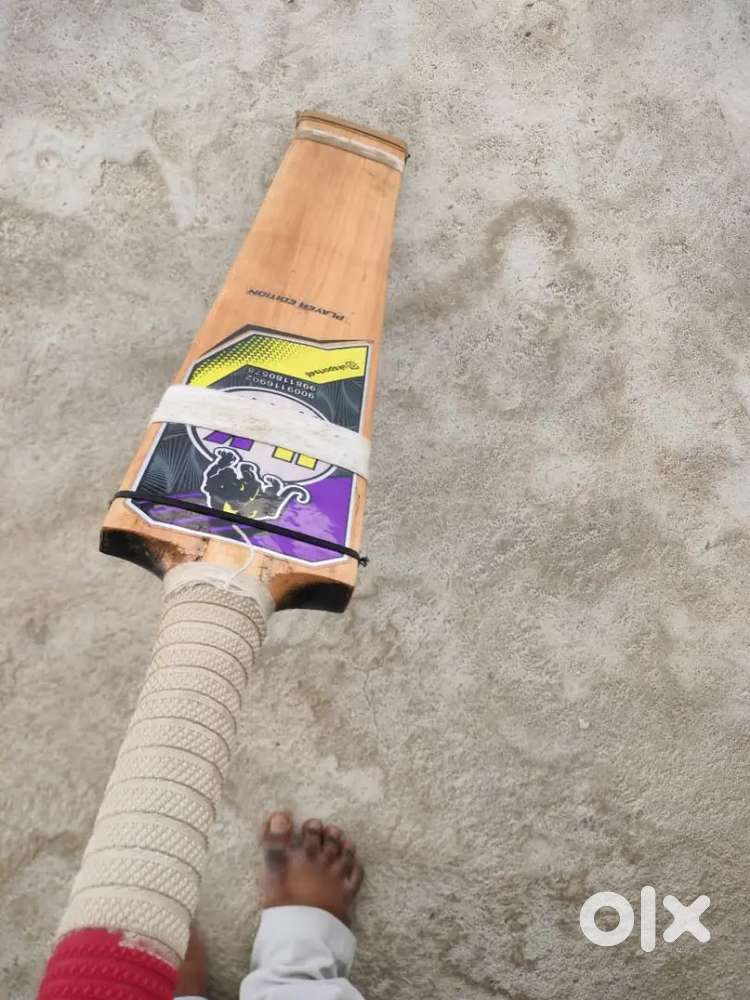 Cricket bat