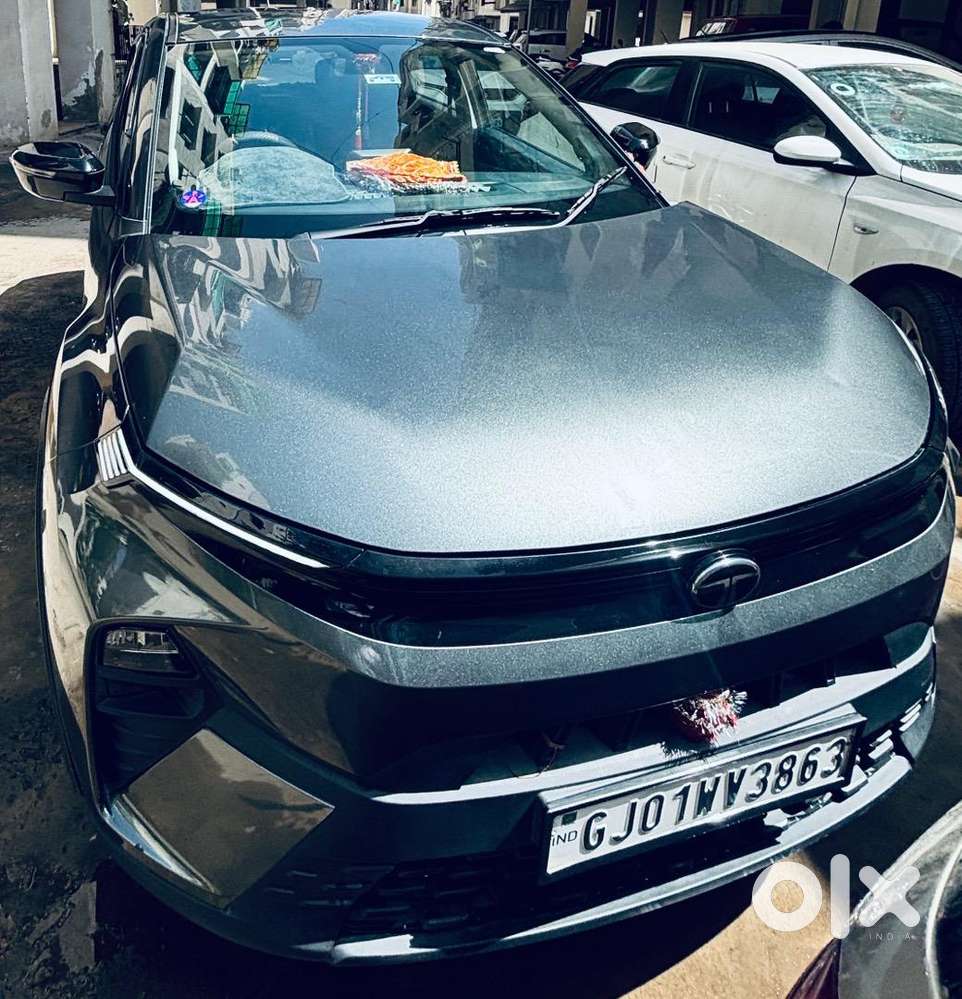 Tata Nexon 2025 Petrol Well Maintained
