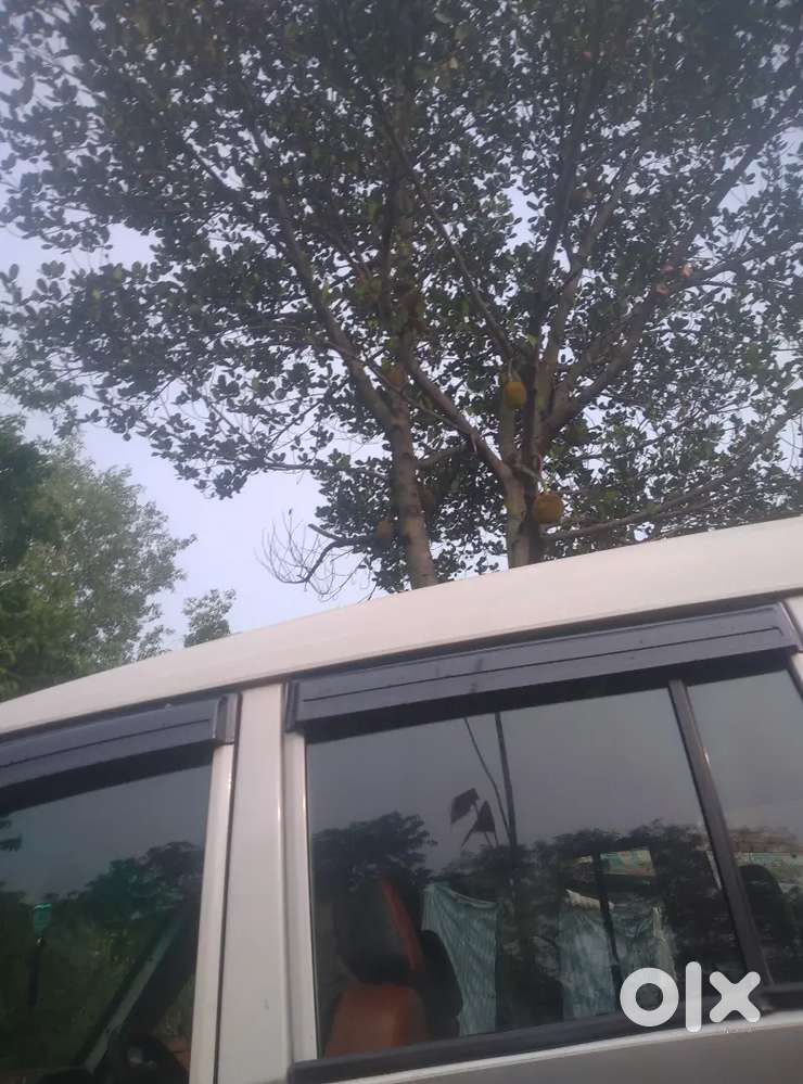 Tata Sumo Gold 2012 Diesel 60000 Km Driven