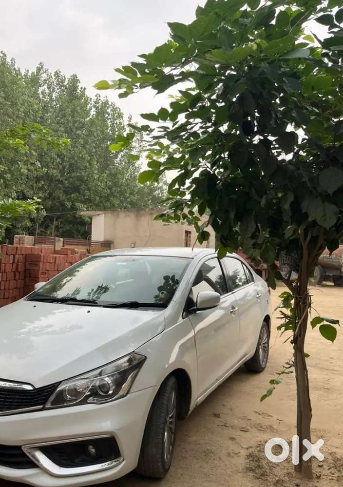 Ciaz Alfa Hybrid