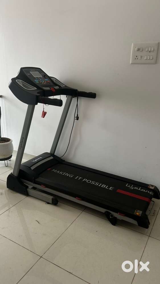 Lifelong Treadmill