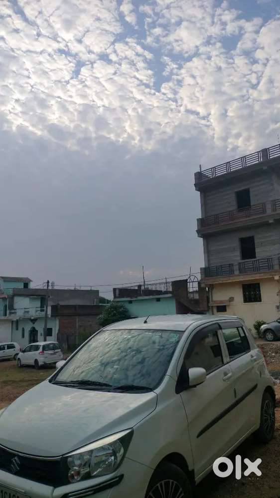 Maruti Suzuki Celerio 2020 Petrol Well Maintained