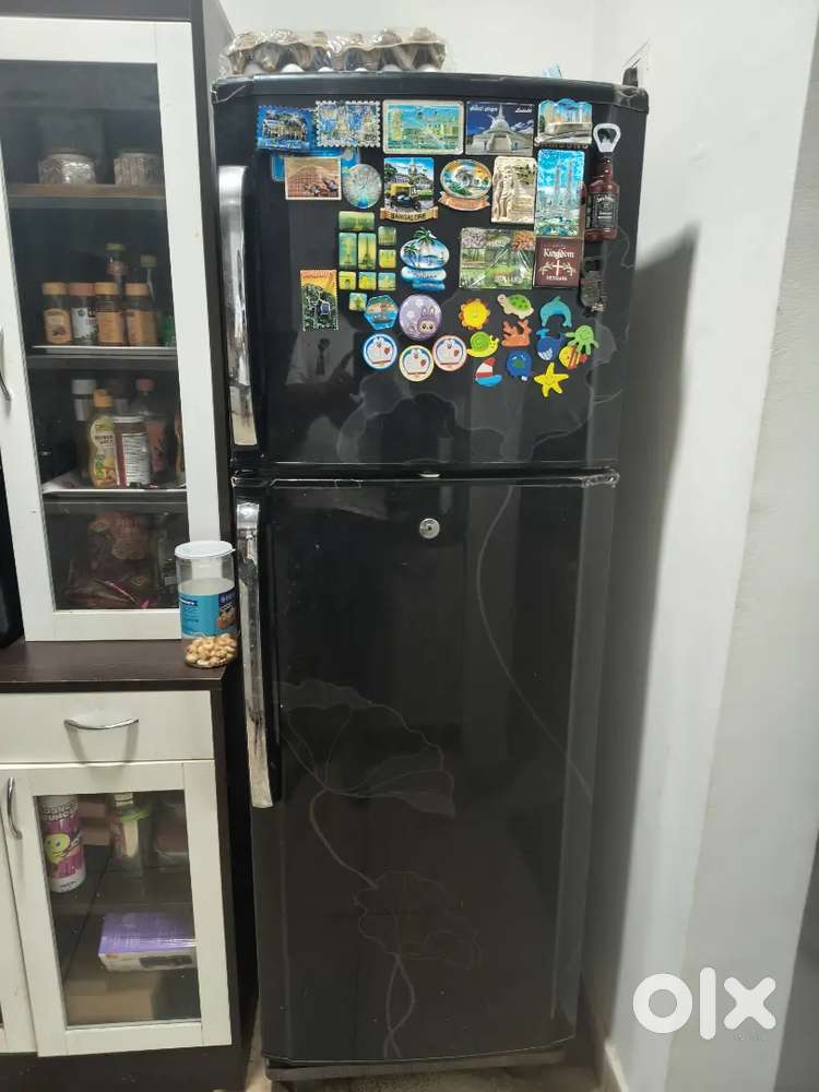 Samsung 250 LITRES Black color 2019 model