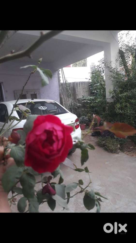 Tata Zest..personal