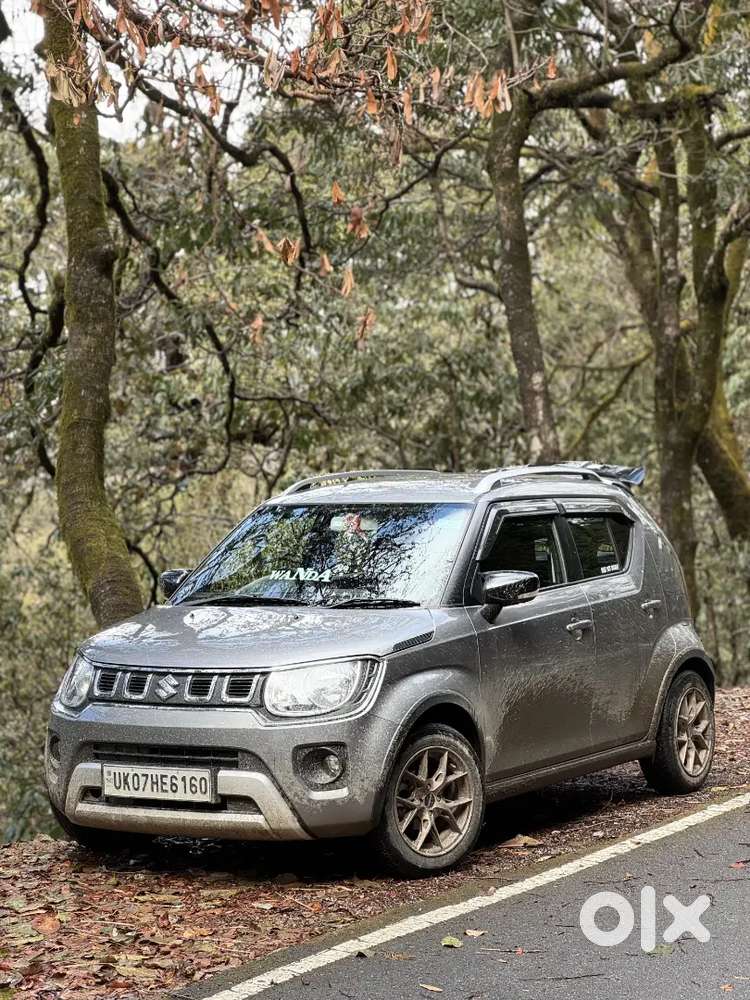Ignis Maruti Suzuki 2025