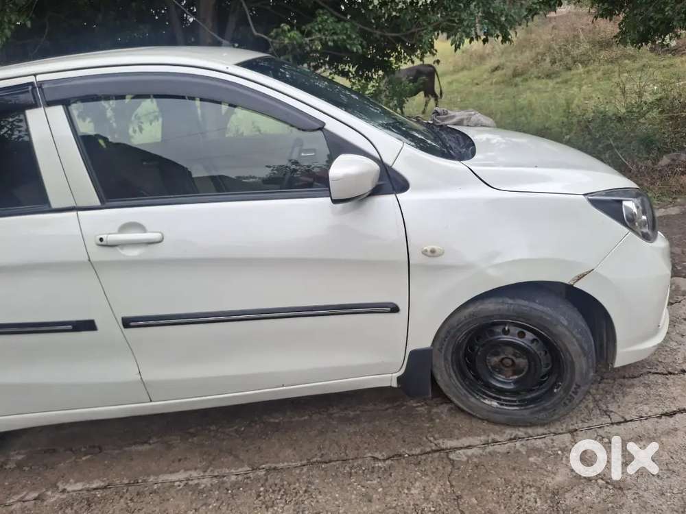 Maruti Suzuki Celerio 2019 Cng & Hybrids