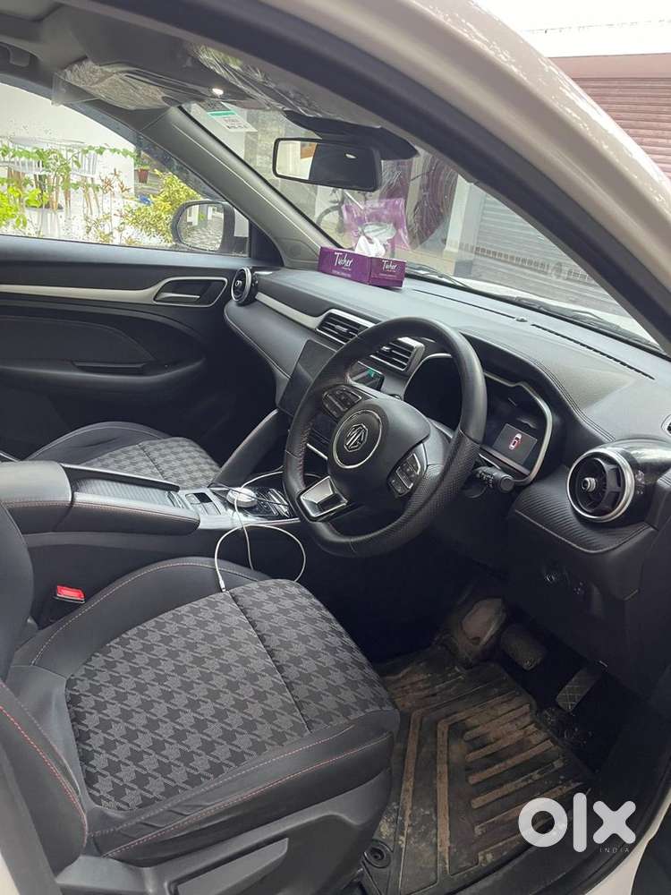 Mg Zs Ev 2024 Year