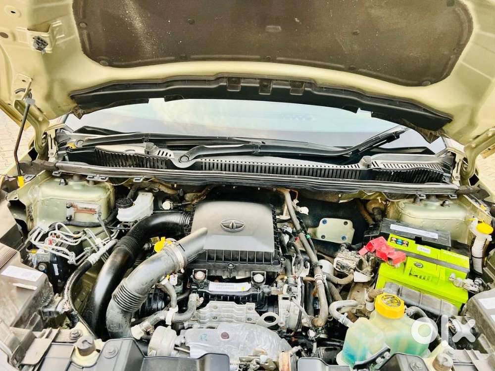 Tata Nexon Xz Plus Luxs Kaziranga, 2022, Petrol