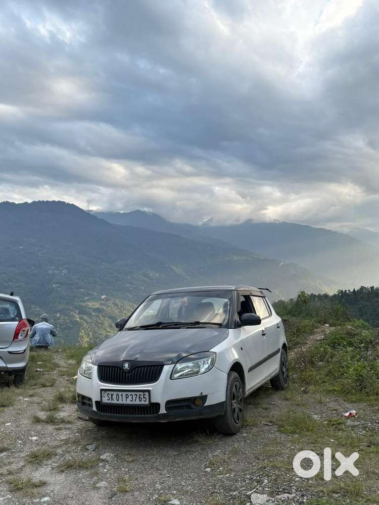 Skoda Fabia 2010 Petrol Well Maintained