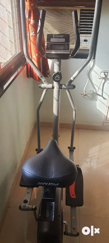 Cross cheap trainer olx