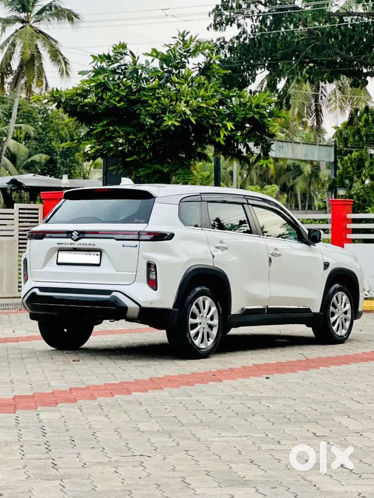 Maruti Suzuki Grand Vitara Delta Smart Hybrid