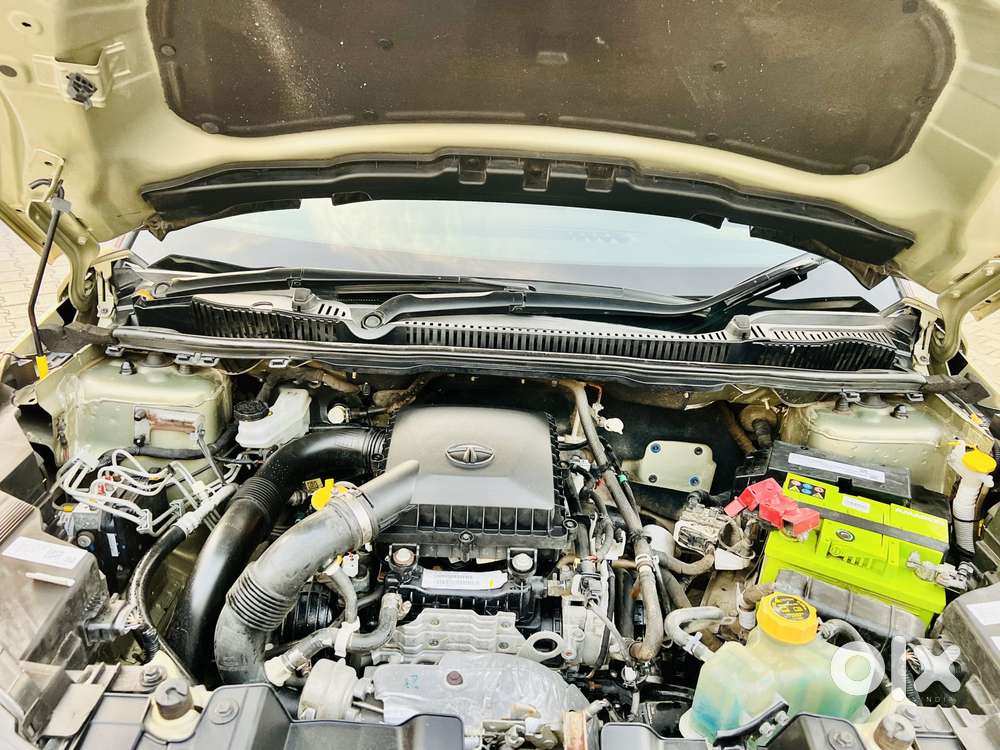 Tata Nexon 1.2 Revotron Xz Plus Kaziranga, 2022, Petrol