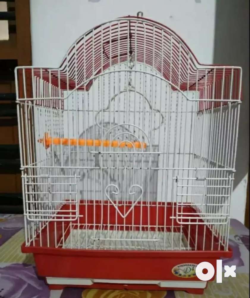 Love birds clearance cage olx