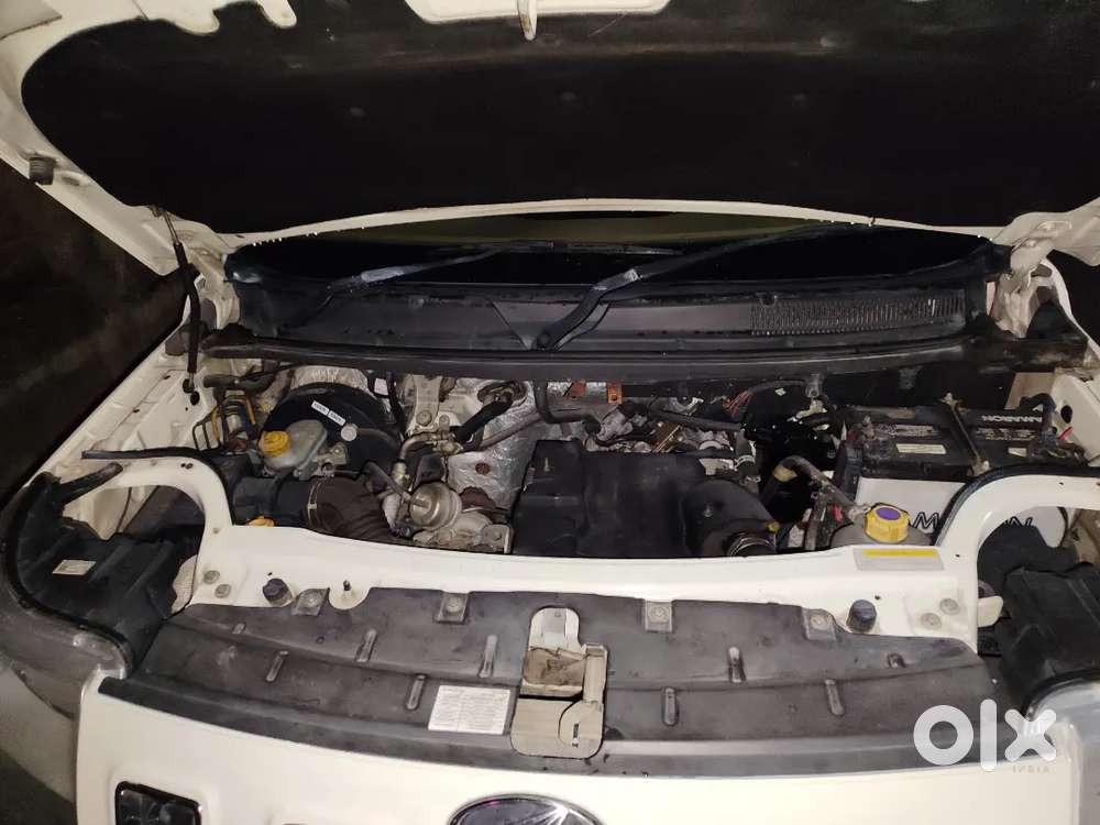 Tuv 300 (2016) Dual Tone Colour