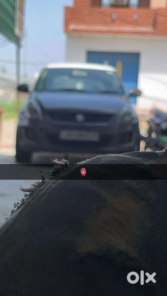 Maruti Suzuki Swift 2016 Diesel Good Condition