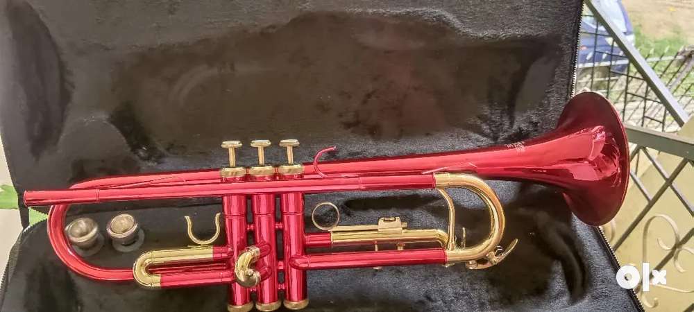 Trumpet olx outlet