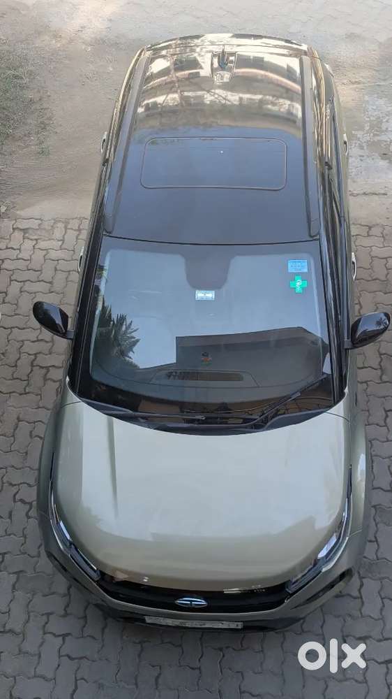 Nexon Xz+, Kaziranga Edition (top Model)