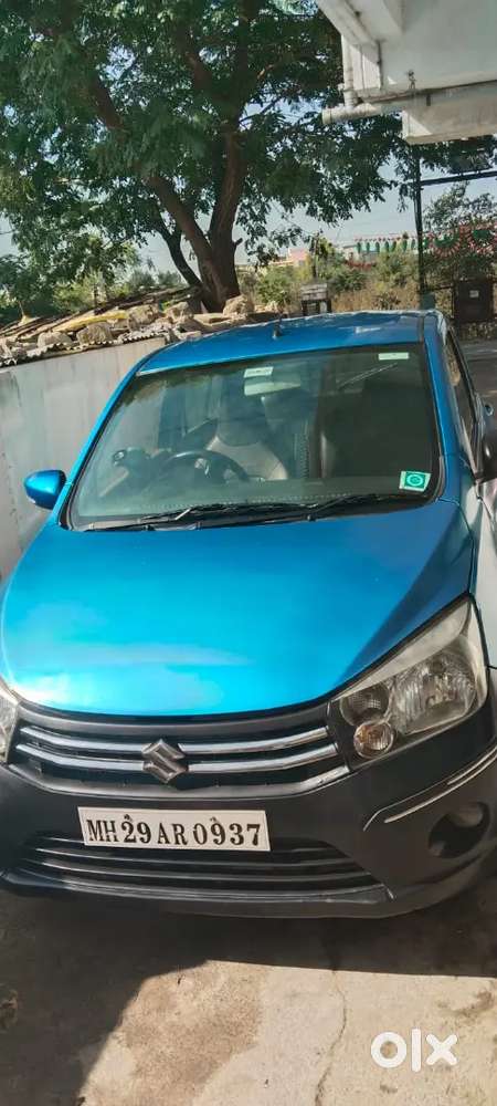 3 ही ओनर घरचे  आहे