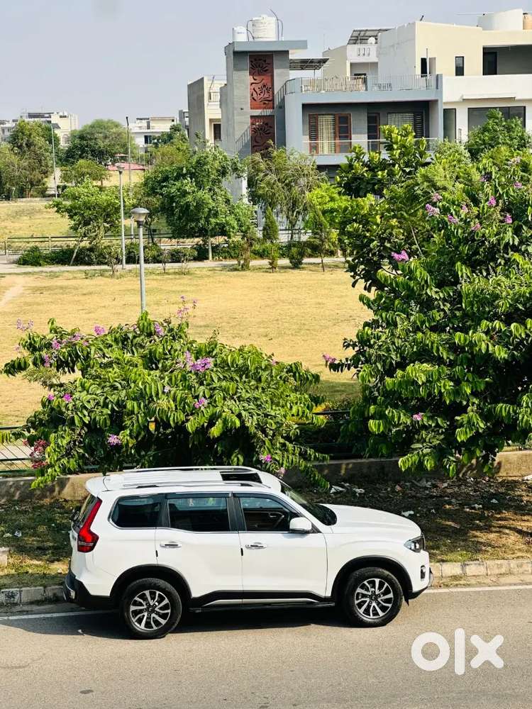 Mahindra Scorpio N Diesel 2024