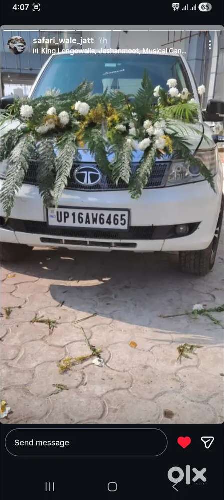 Sale My Safari Storme
