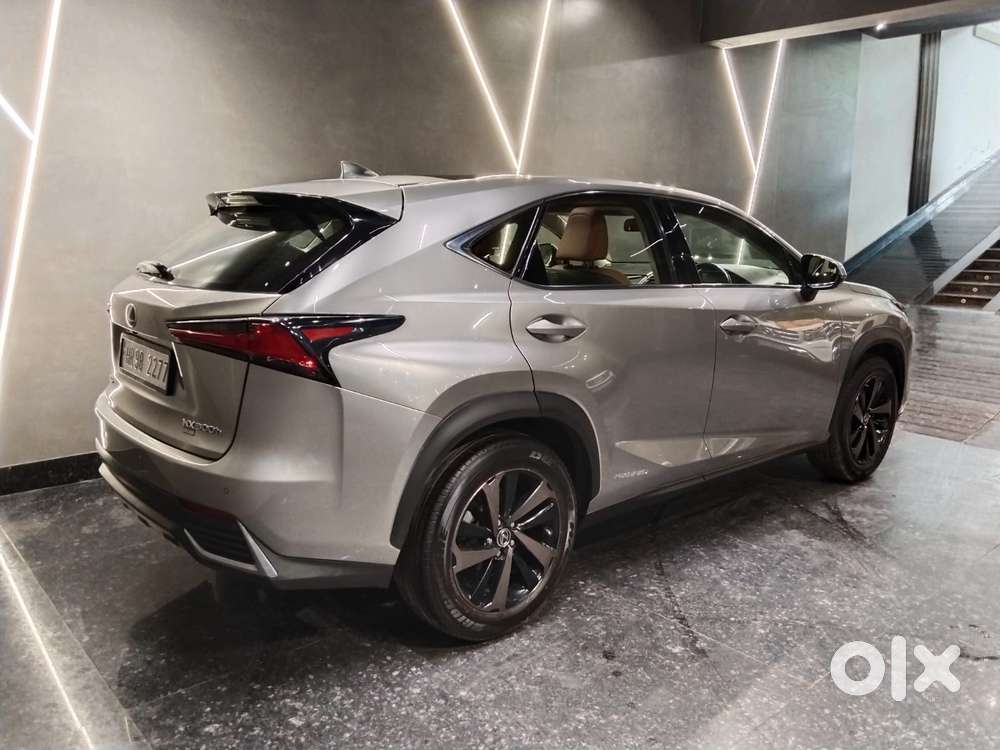 Lexus Nx Lexus-nx-300h-luxury, 2020, Petrol
