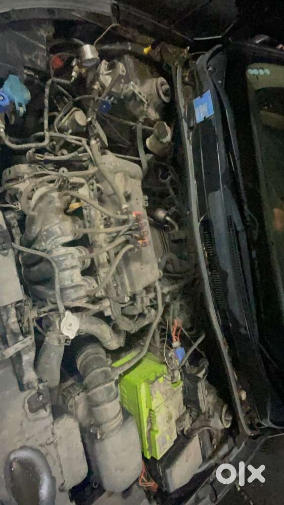 Verna 2011 November 1 Month Old Cng