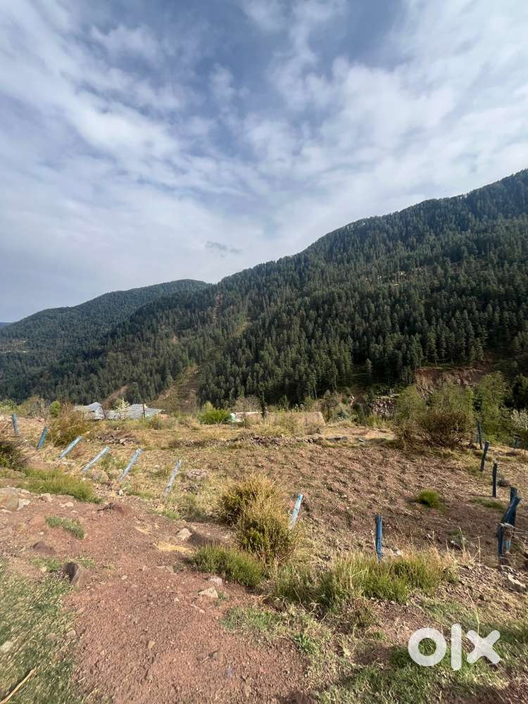 Land For Sale At Sanasar Village Best For Summers