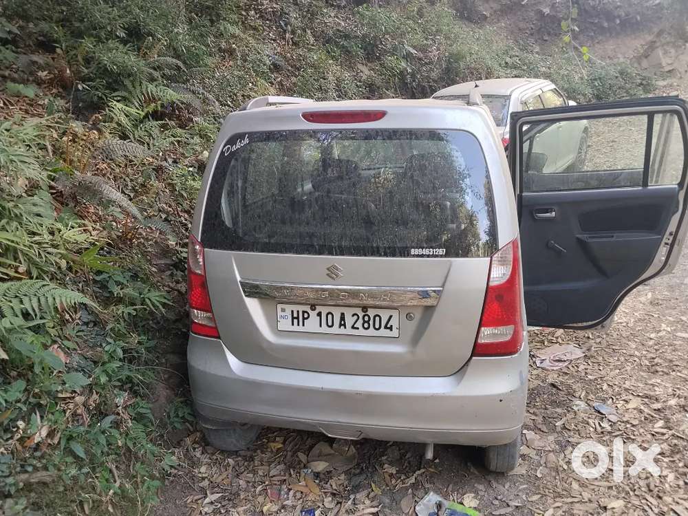 Maruti Suzuki Wagon R Flex Fuel 2010