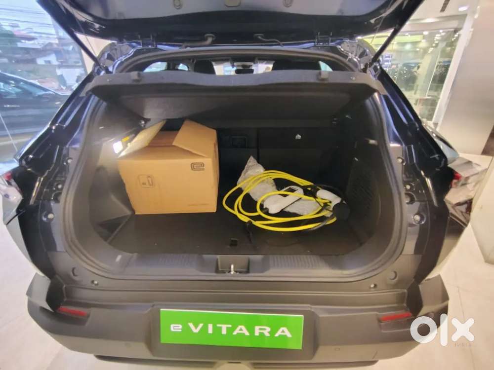 E Vitara Electric Alpha