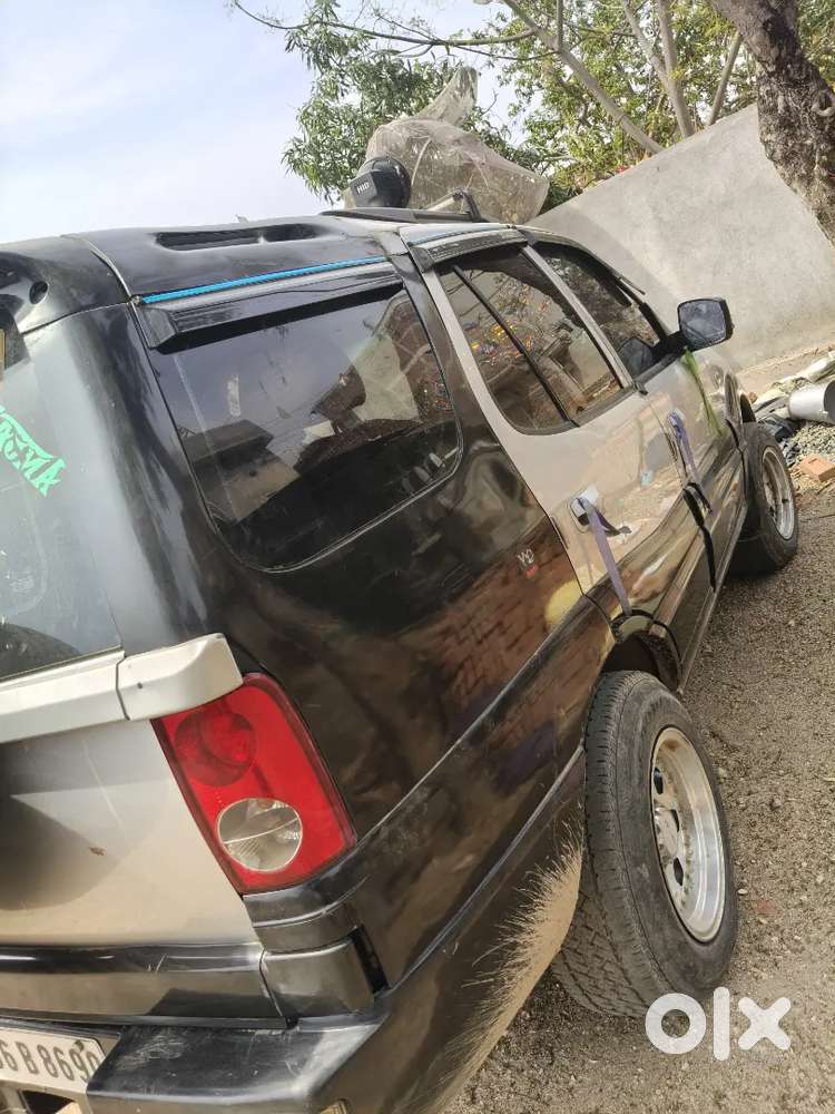 Safari Dicor