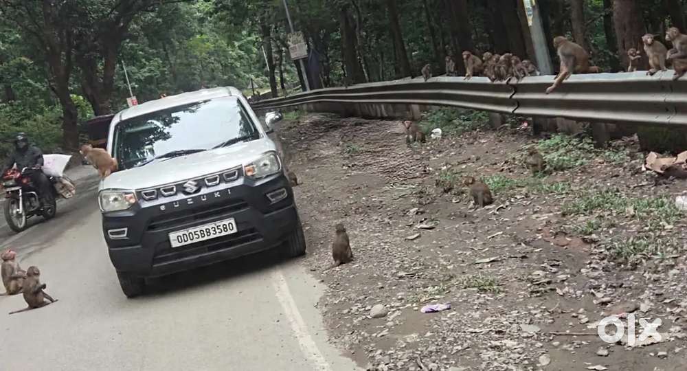 Maruti Suzuki S-presso Lxi 2021
