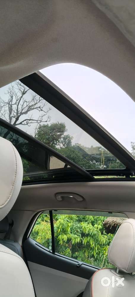 Hyundai Creta Sx Optionl Petrol 2024