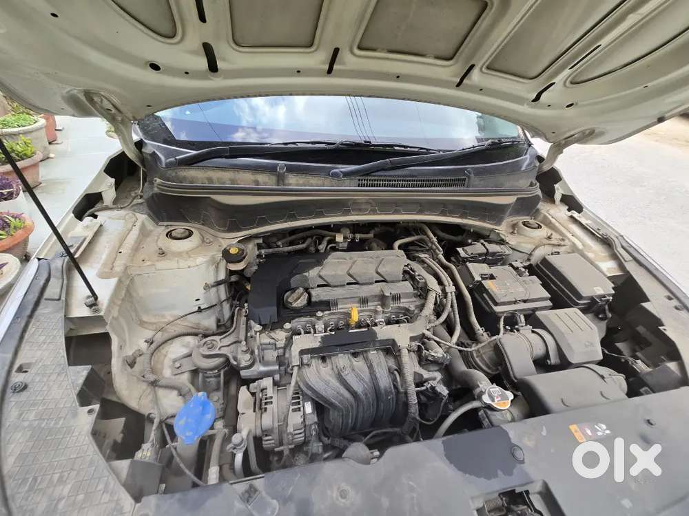 Kia Seltos 2023 Petrol Good Condition