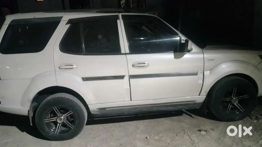 Safari Strom 2015