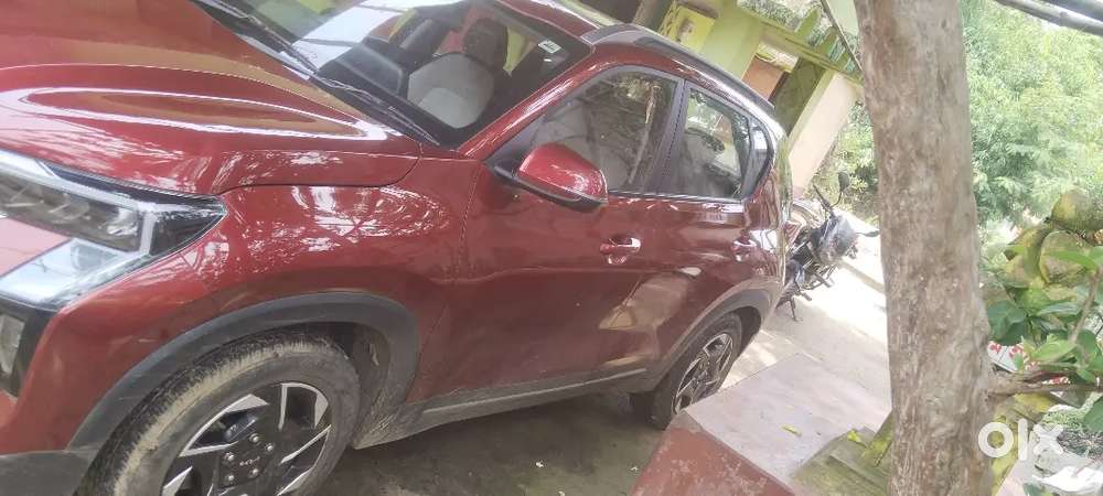 Kia Sonet 2024 Petrol Well Maintained