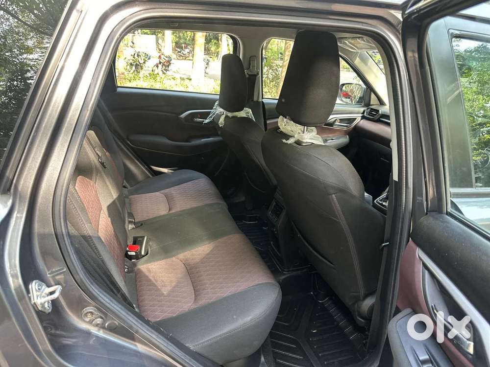 Maruti Suzuki Grand Vitara 1.5 Delta Smart Hybrid, 2024, Petrol
