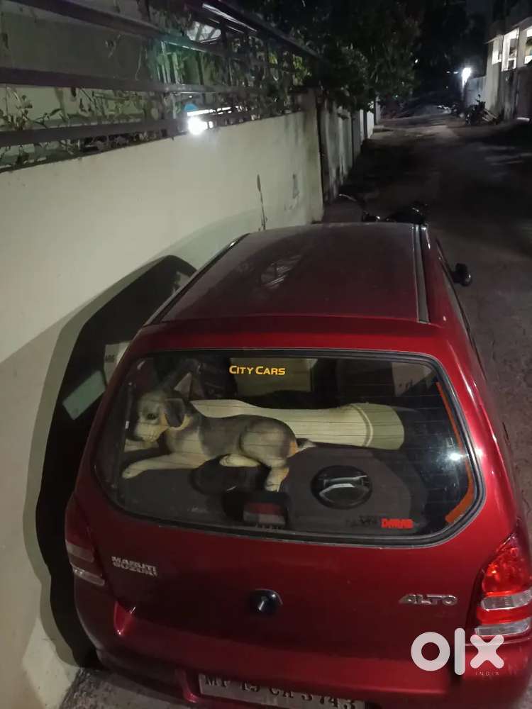 Maruti Suzuki Alto