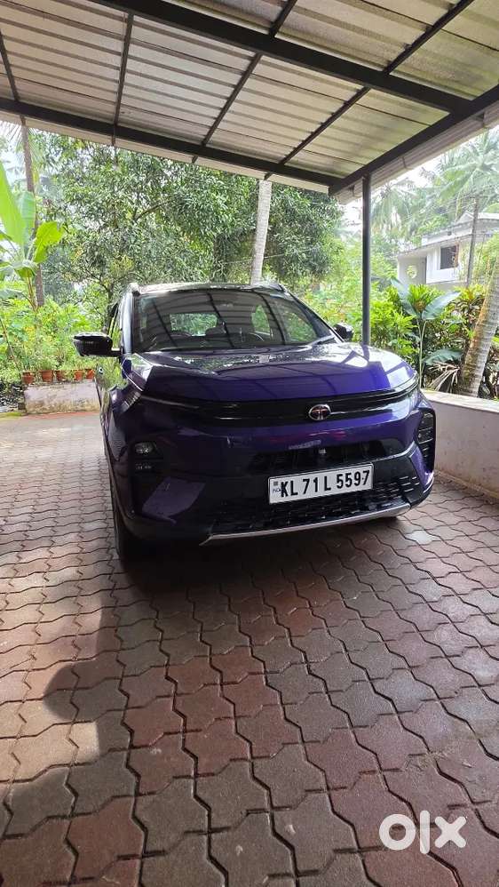 Tata Nexon Purple 2024